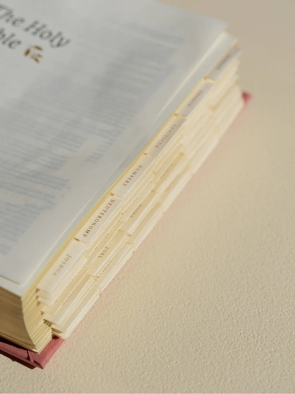 Hosanna Revival Gold Foiling Bible Tabs